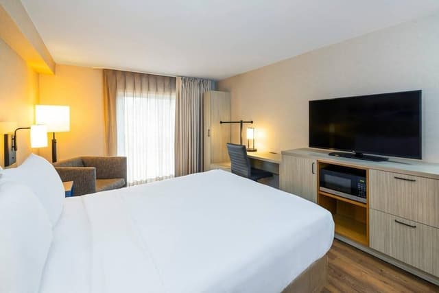 Room, 1 King Bed, Non Smoking
