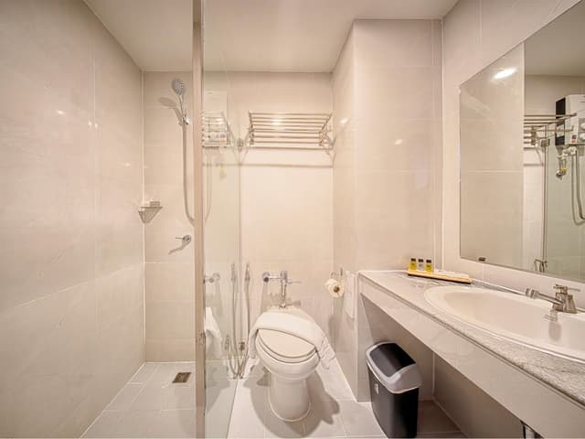 Superior Premier Room