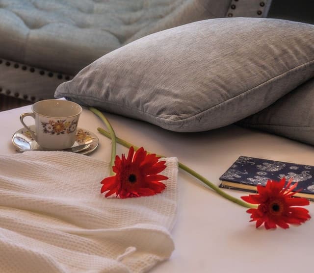 Executive Double Room, Mountain View