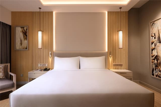 KING PREMIUM SUITE