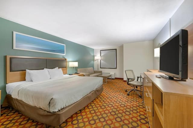 Room, 1 King Bed