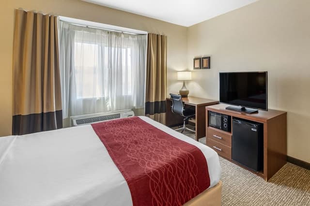 Standard Single Room, 1 King Bed, Roll-in Shower, Non Smoking