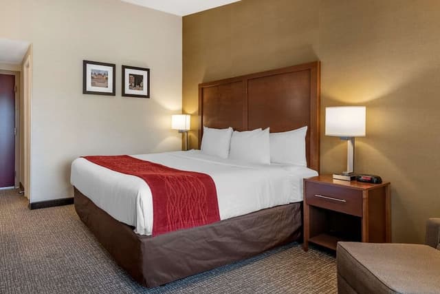 Standard Room, 1 King Bed, Non Smoking