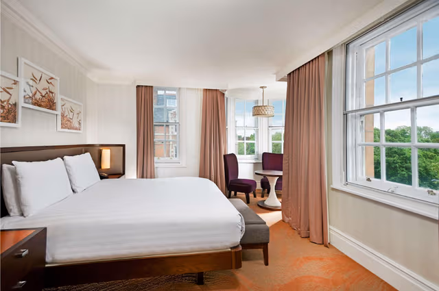 King Deluxe Room with View