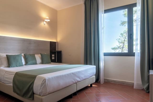 Basic Triple Room