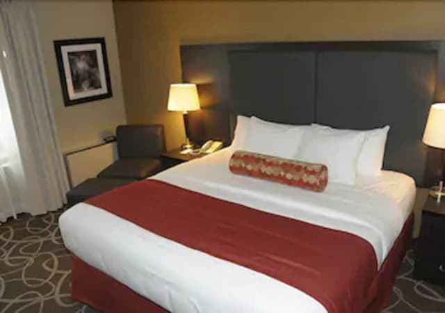 Standard Room, 1 King Bed, Non Smoking