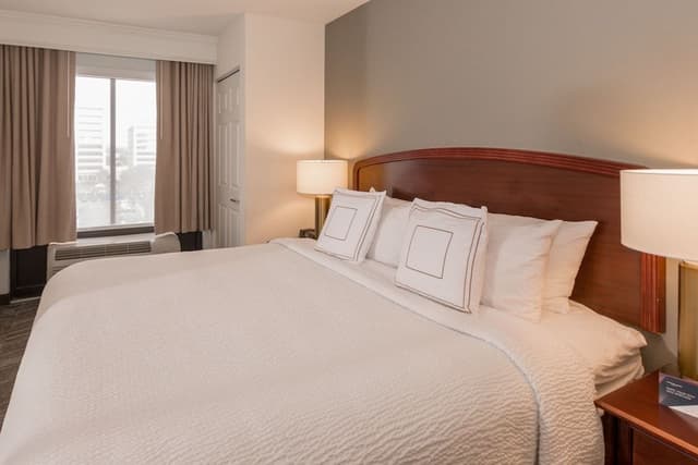 Suite, 1 King Bed with Sofa bed