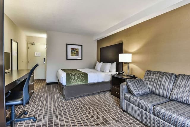 Comfort Care, Standard Room, 1 Queen Bed with Sofa bed