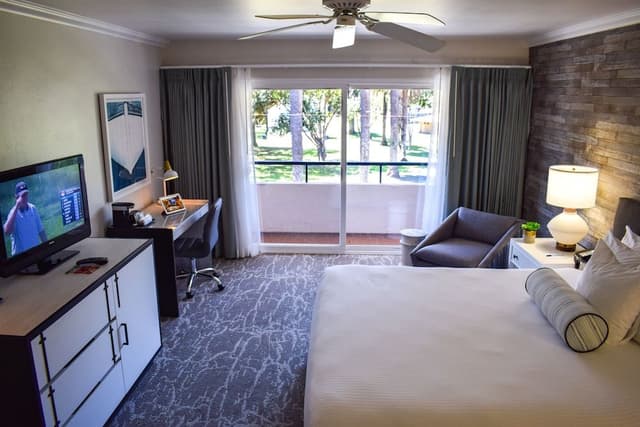Room, 1 King Bed, Balcony (Parkside)