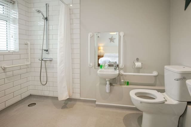 Standard Room, 1 Double Bed, Accessible, Non Smoking (Walk-in Shower)