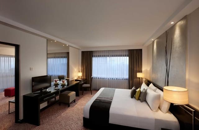 Cilantro Suite