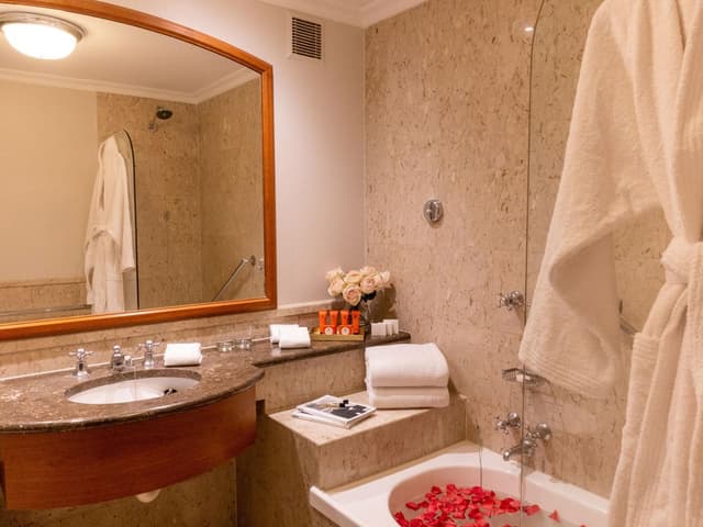 Deluxe King or Twin Room