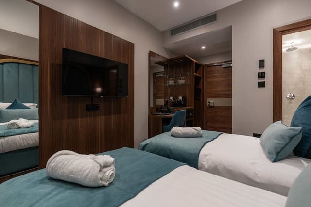 Deluxe Double or Twin Room