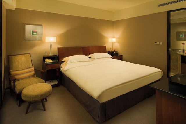 Deluxe Suite (Washlet equipped)