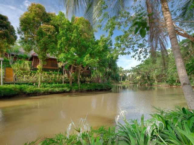 Chalet, Resort View