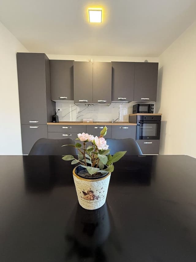 Luxury Apartment, City View