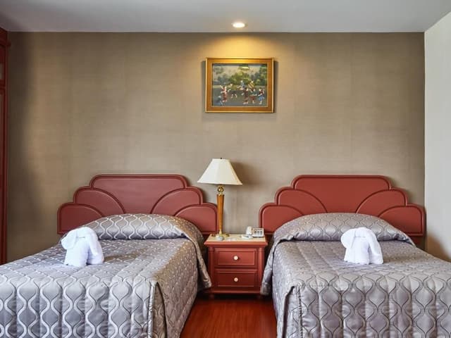 Superior Double or Twin Room