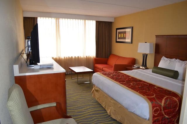 Standard Room, 1 King Bed, Accessible, Refrigerator & Microwave (Bathtub)