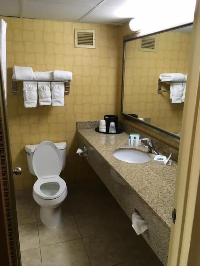 Standard Room, 2 Double Beds, Non Smoking, Refrigerator & Microwave