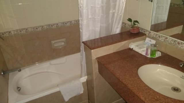 Suite, 1 King Bed