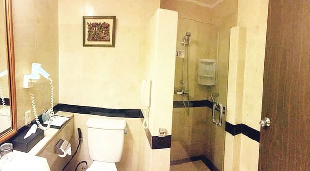 Executive Studio Room