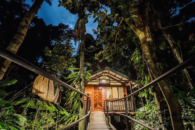 Twin/Tripe Rainforest Cabin