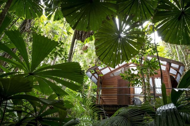 Twin/Tripe Rainforest Cabin