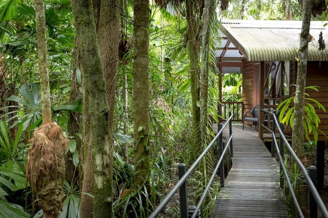 Twin/Tripe Rainforest Cabin