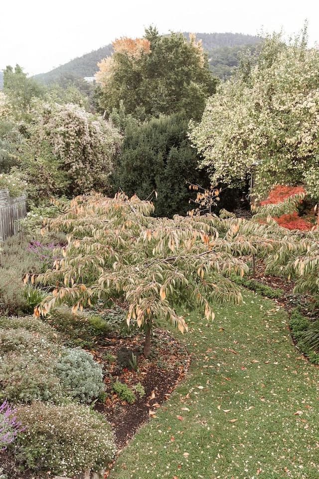 Garden Suite