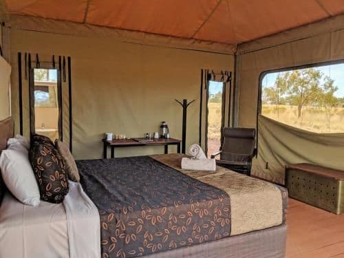 Deluxe Eco King or Twin Tent