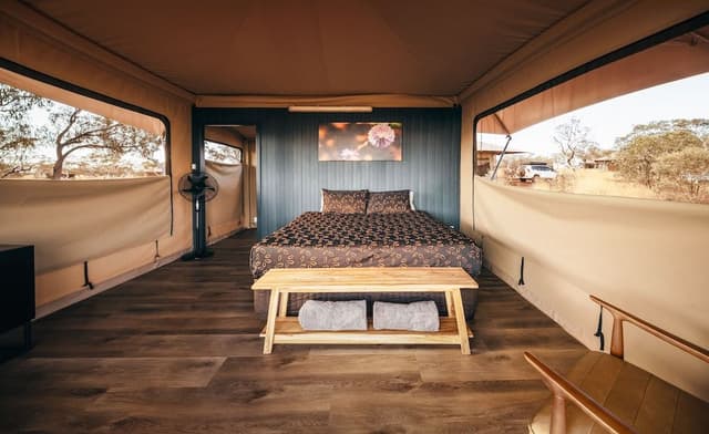 Premium Tent