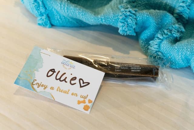 Queen Single Room - Pet Friendly