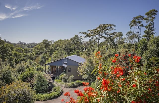 Two Bedroom Luxury Forest Villa