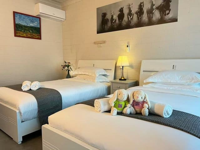 Twin Studio Room