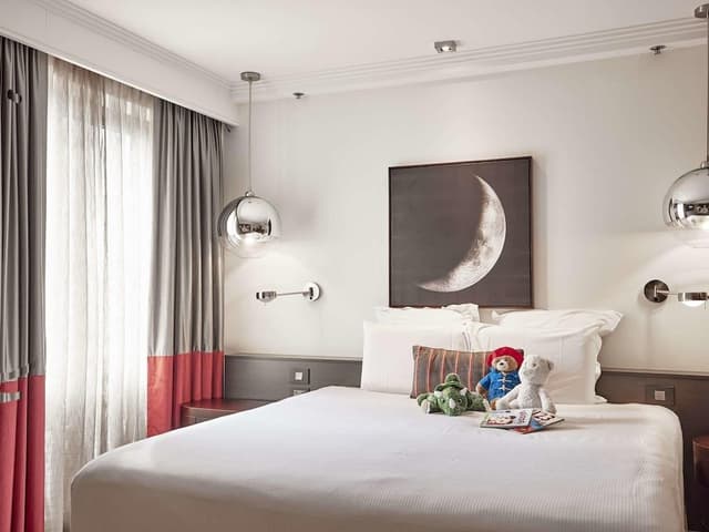 Deluxe Suite (1 Queen Bed 2 Single or 2 King)