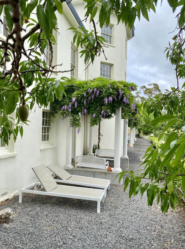 Terrace King