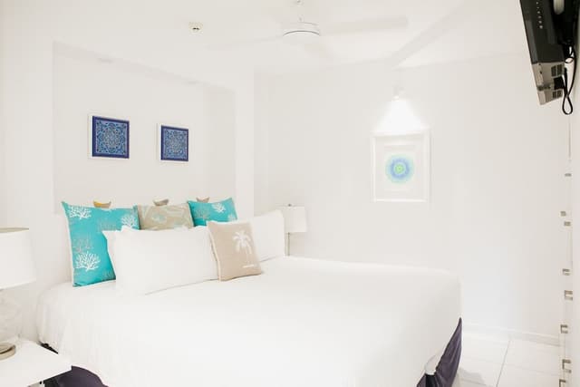 One Bedroom Hastings Rooftop Terrace Apartment