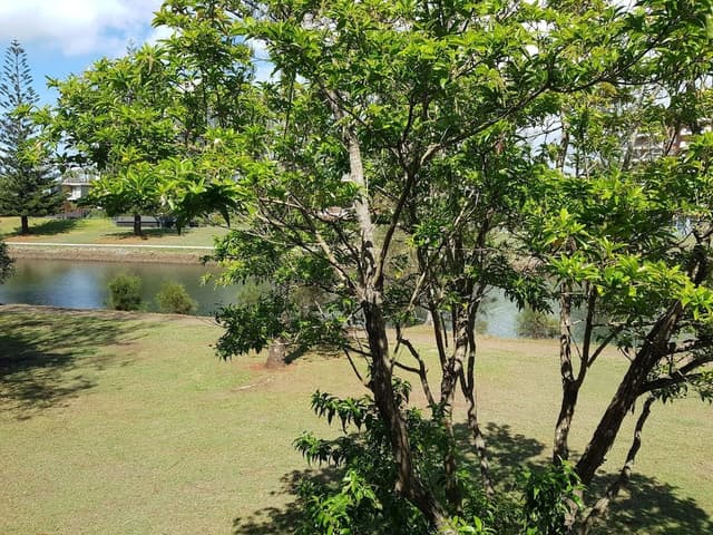 Superior Twin Room, Balcony, River View