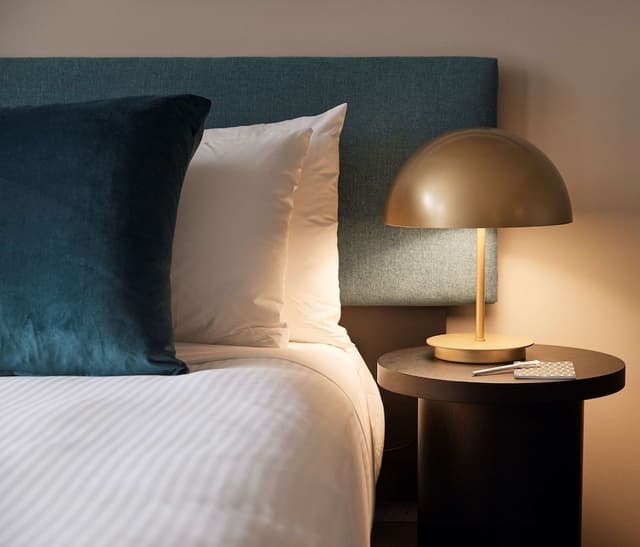 Room, 1 King Bed with Sofa bed
