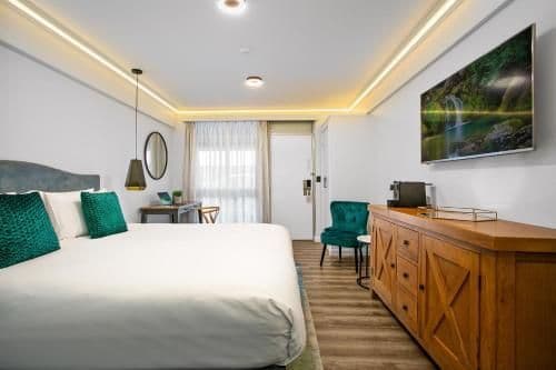 Executive King Room
