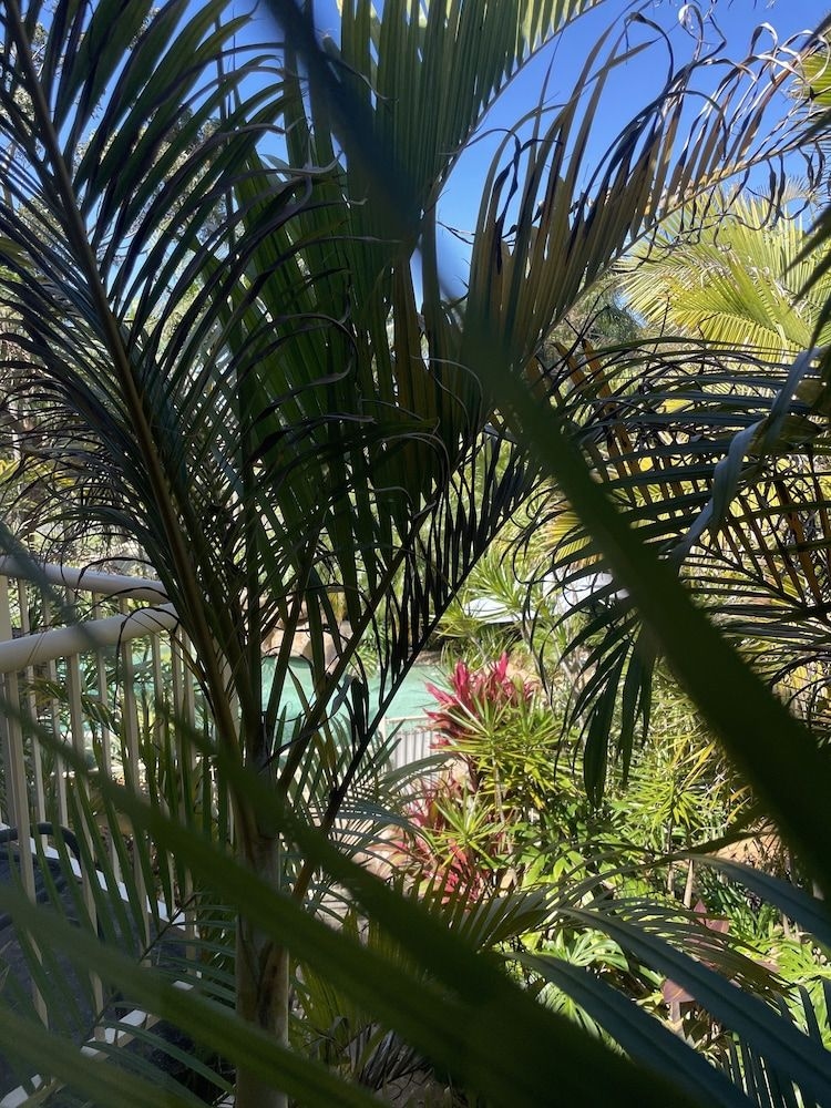 Ulladulla Guest House1