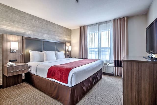 Standard Room, 1 King Bed, Non Smoking