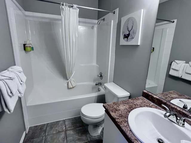 Three-Bedroom Apartment 106, No air conditioning