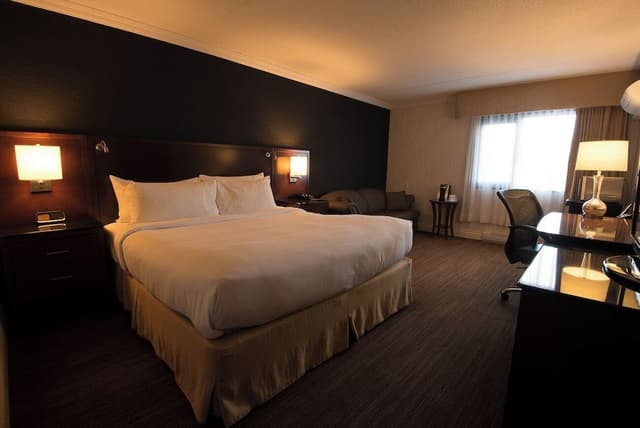 Standard Room, 1 King Bed with Sofa bed