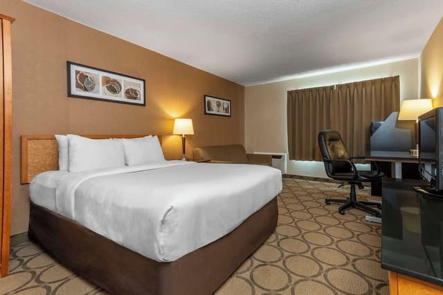 Comfort Care, Standard Room, 1 Queen Bed with Sofa bed, Non Smoking