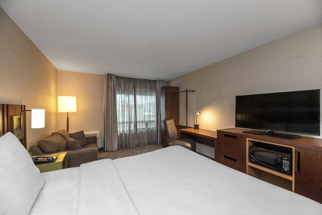 Standard Room, 1 King Bed with Sofa bed, Non Smoking