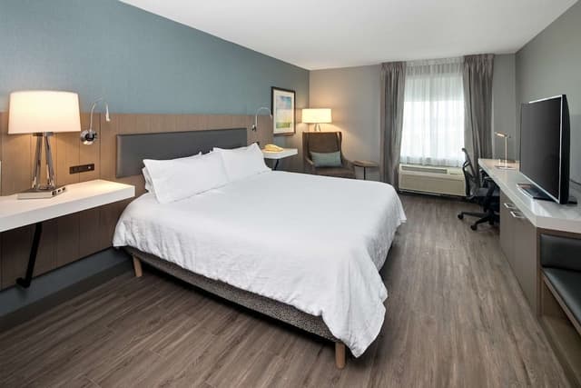 Suite, 1 King Bed
