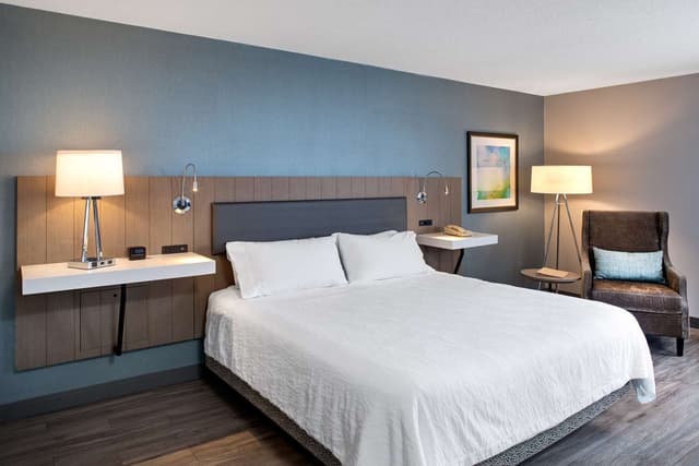 1 KING BED ACCESSIBLE EVOLUTION ROOM