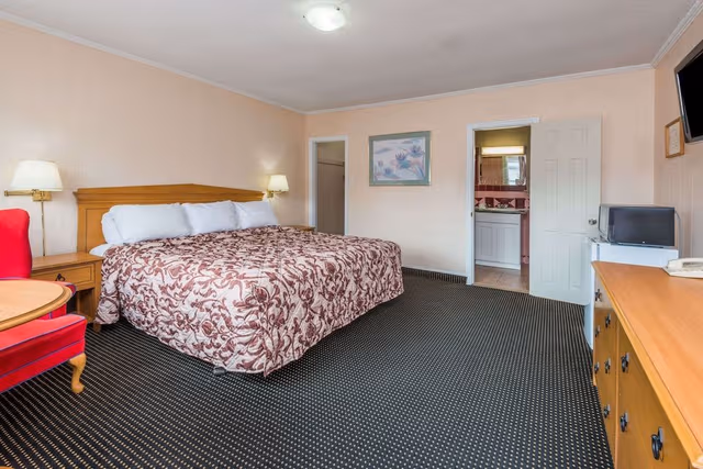 Room, 1 King Bed