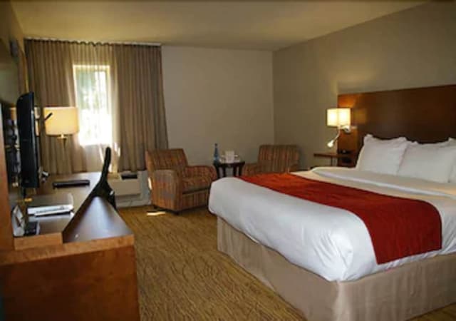 Standard Room, 1 King Bed, Non Smoking